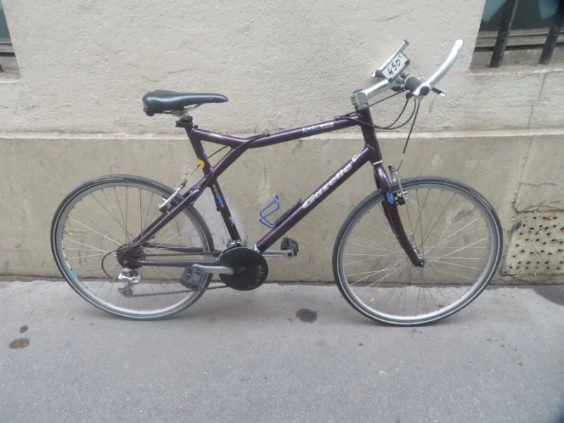 Vélo Fitness Gazelle Extrême